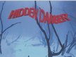 Hidden Danger