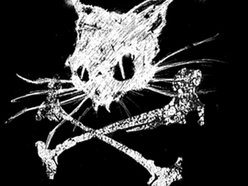 Image for KILLtheCAT!