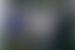 1373153580 485078338239532 1762656472 n