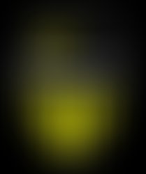 1313243991 pain logo yellow