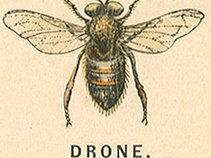 MonoDrone