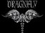DRAGNFLY (Artist)