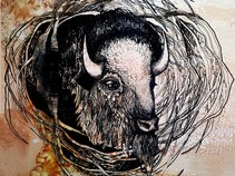 Steady Madness (defunct)