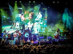 Image for The Newbees