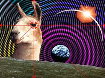 LLAMA / llamamusic.com