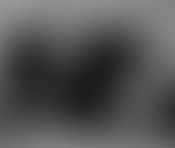 1313492678 gray haired boys