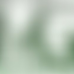 Artist 1846944 1450226790