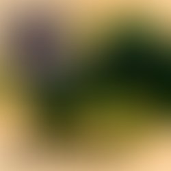 Blendmephoto1638315165001