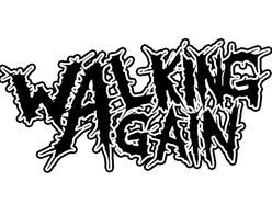 Image for WALKING AGAIN