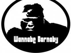 Image for Wannabe Barnaby