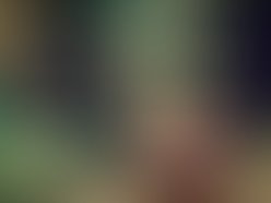 29079 398298288092 72457258092 4515126 5122350 n