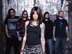 Straight Line Stitch (Official)