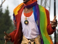 Image for SIMBA VIBRATION