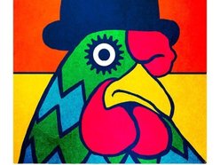 Image for The Yawpers