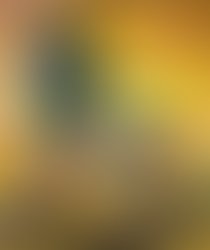 586679e951b5a9629cf49072ca268c95