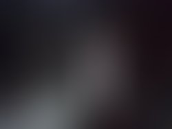 1313780228 20110207302