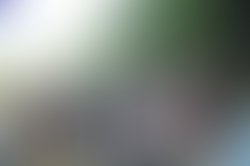 L 6de0b10c2eee510839e01086beb3ef9a