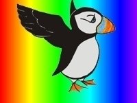 Image for Cosmic Puffin