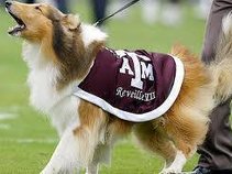 REVEILLE RECORDING LAB