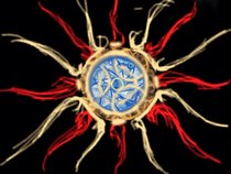 Sol Inertia