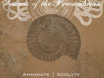 Sounds of the Precambrian