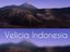 VELICIA INDONESIA