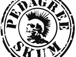 Image for PedAgree Skum