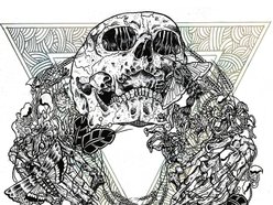 Image for Voidborn