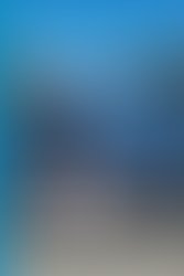 1335225965 reverb.com