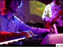 The Glorious Mongrels