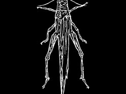 Image for GOZU