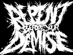 Image for Repent Before Your Demise