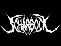 Scharbock