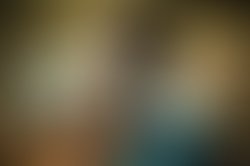 1402947286 fstoptonyybarra2013 18