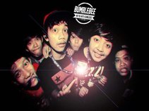 Bumblebee Surabaya
