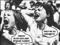 Blue Dog And Sponge Cake