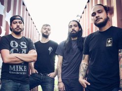 Image for Another Lost Year