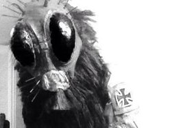 Image for Mosquitohead