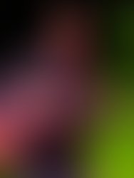 1340930799 mists of ancient emotions