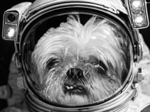 Fat Astronaut