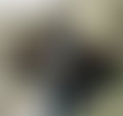 75567ac0 4784 4527 a2a3 8c7b3f3dc349