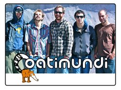 Image for Coatimundi