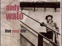 Image for Andy Walo  Trio