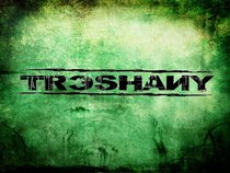 Treshany