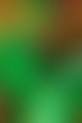 1414359576 artist 1910852 1414359515