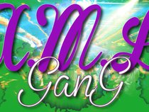 A.M.L gang