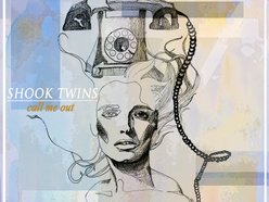 Image for Shook Twins