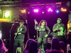 Image for Dave Macklin Band