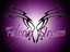 Falcon Dream