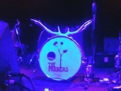Image for The Prickers